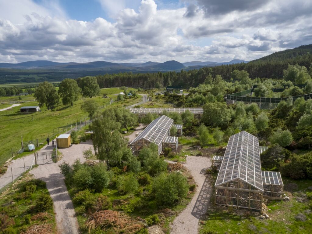 aerial view of wildlife enclosures in scotland