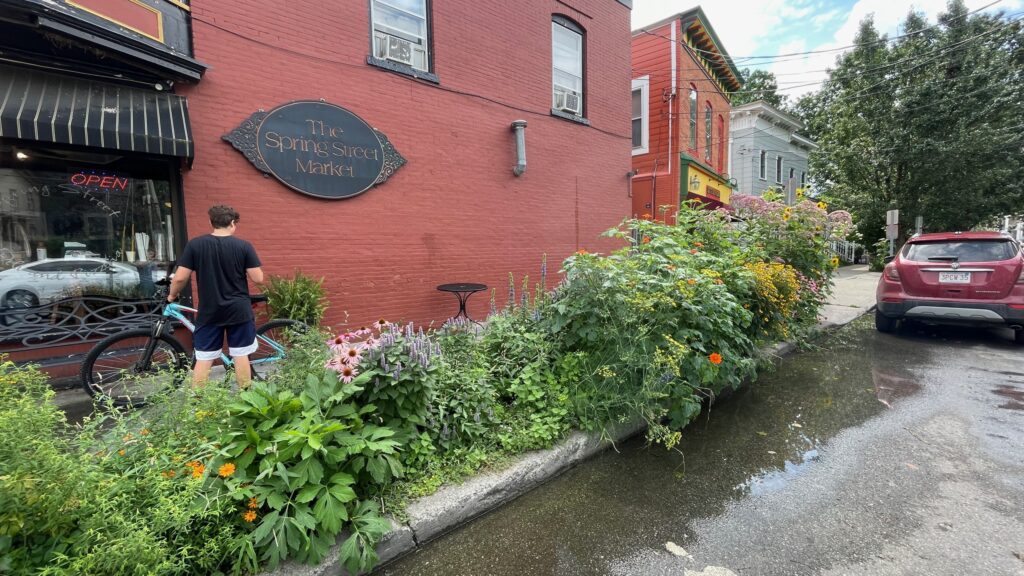 hellstrip garden along sidewalk