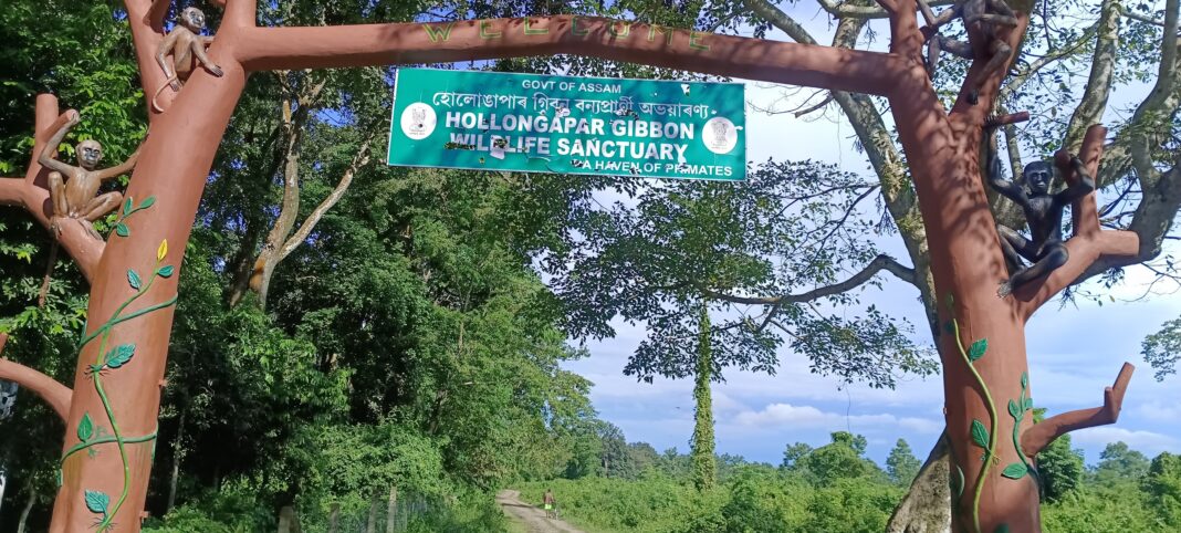 sign entrance to gibbon sanctuary in woods