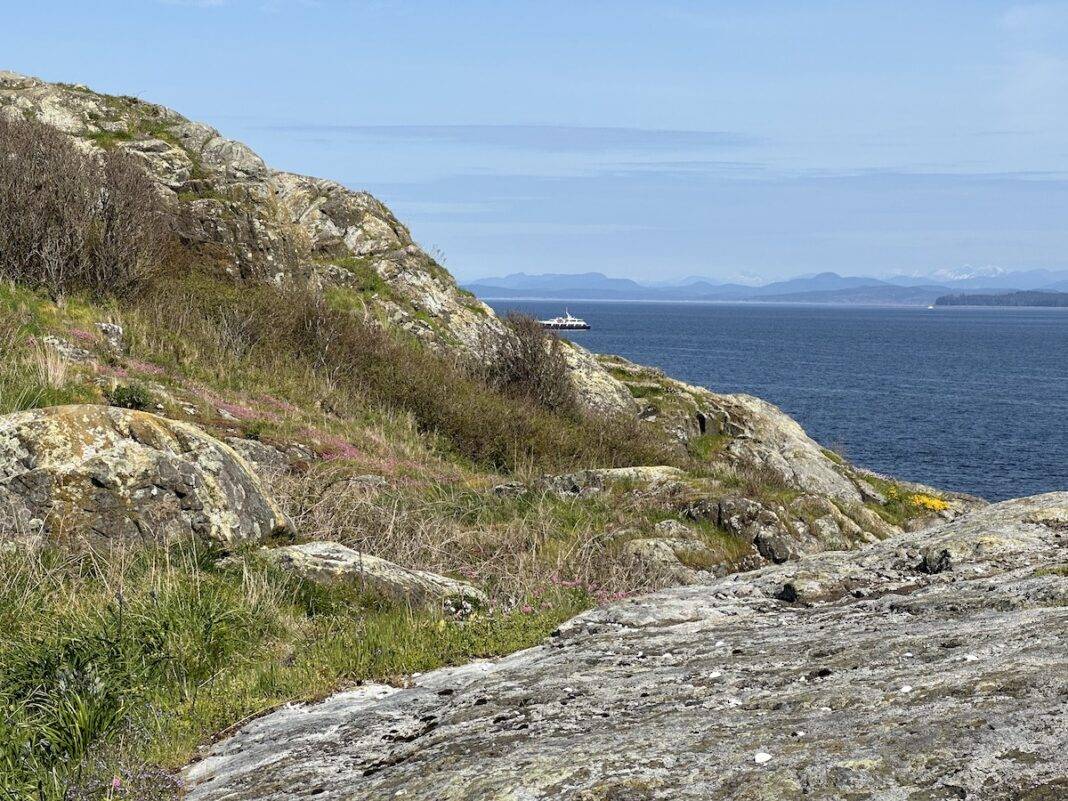 Mitlenatch Island is located in the Strait of Georgia, off British Columbia’s Vancouver Island.