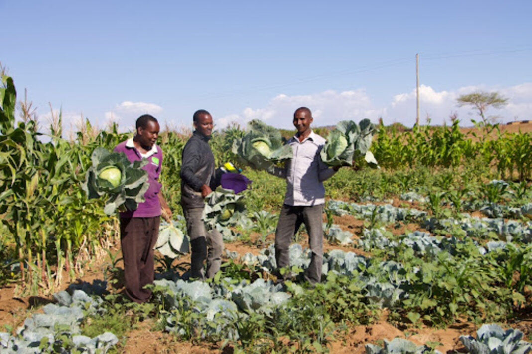 members of farmers group holding plants