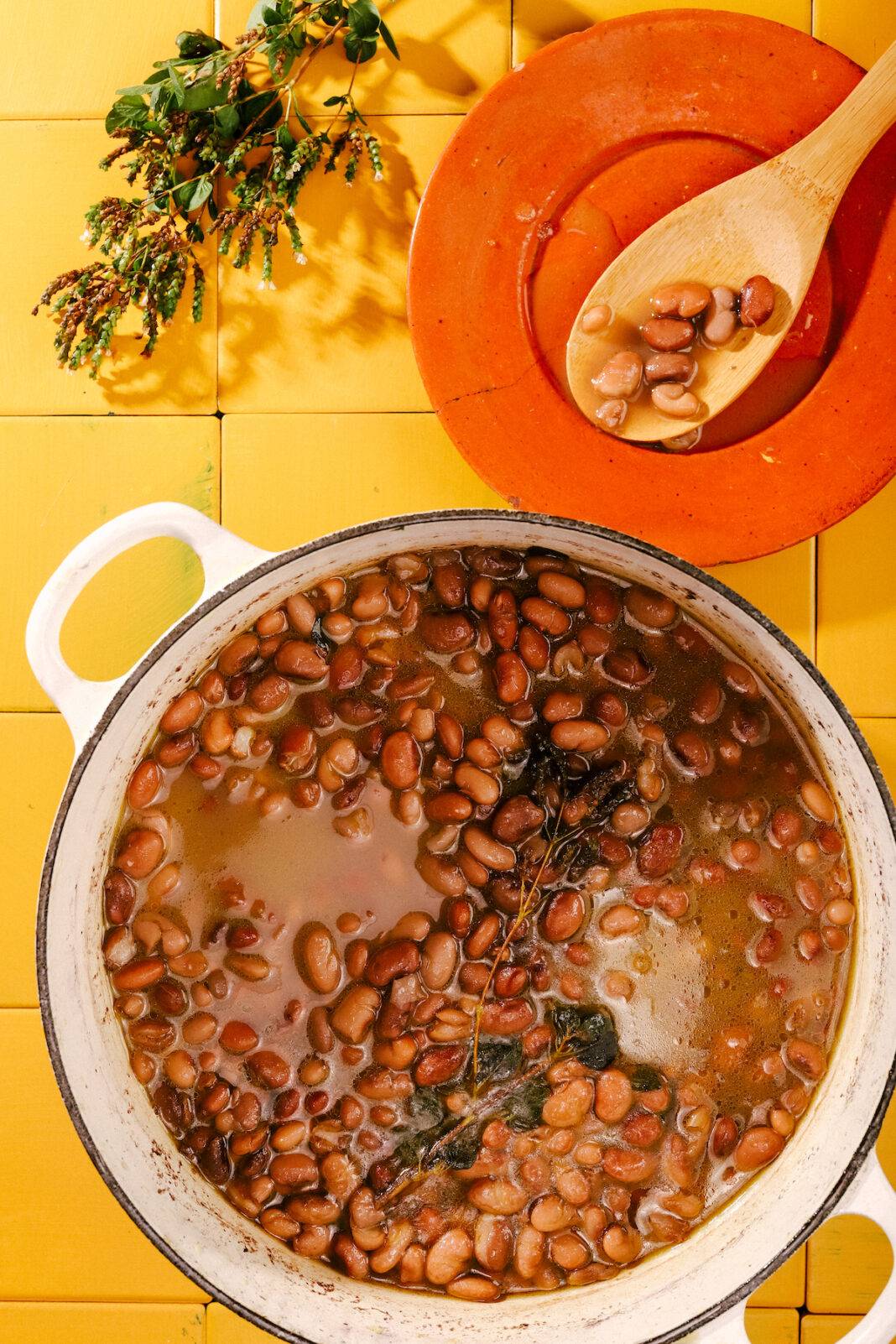 Brothy Pinto Beans in pot.