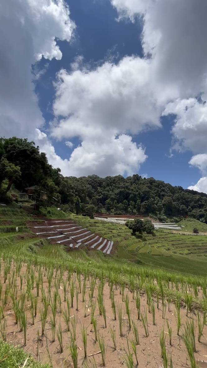 Views of the Doi Inthanon, Ban Luang subdistrict.