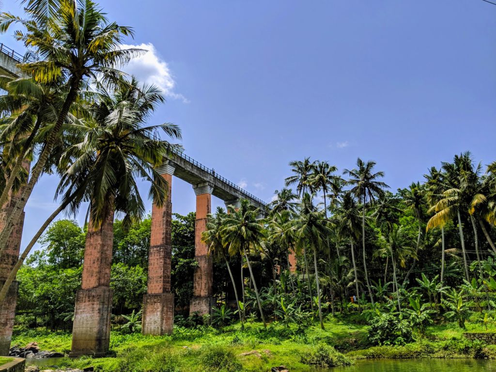 A bridge in Asia flanked by coconut palms.