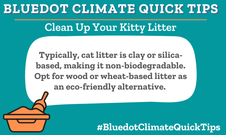 Climate Quick Tip: Clean Up Your Kitty Litter Typically, cat litter is clay or silica-based, making it non-biodegradable. Opt for wood or wheat-based litter as an eco-friendly alternative. Keep your pets sustainable and opt for eco-friendly kitty litter as an alternative to the average non-biodegradable options.