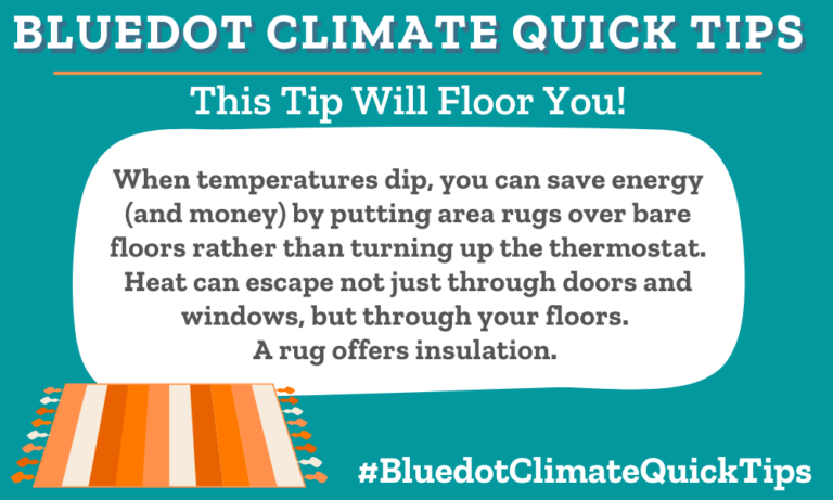 Climate Quick Tip: This Tip that Will Floor You! When temperatures dip, you can save energy (and money) by putting area rugs over bare floors rather than turning up the thermostat. Heat can escape not just through doors and windows, but through your floors. A rug offers insulation. Looking for rugs that prioritize sustainability? Bluedot’s got you covered.