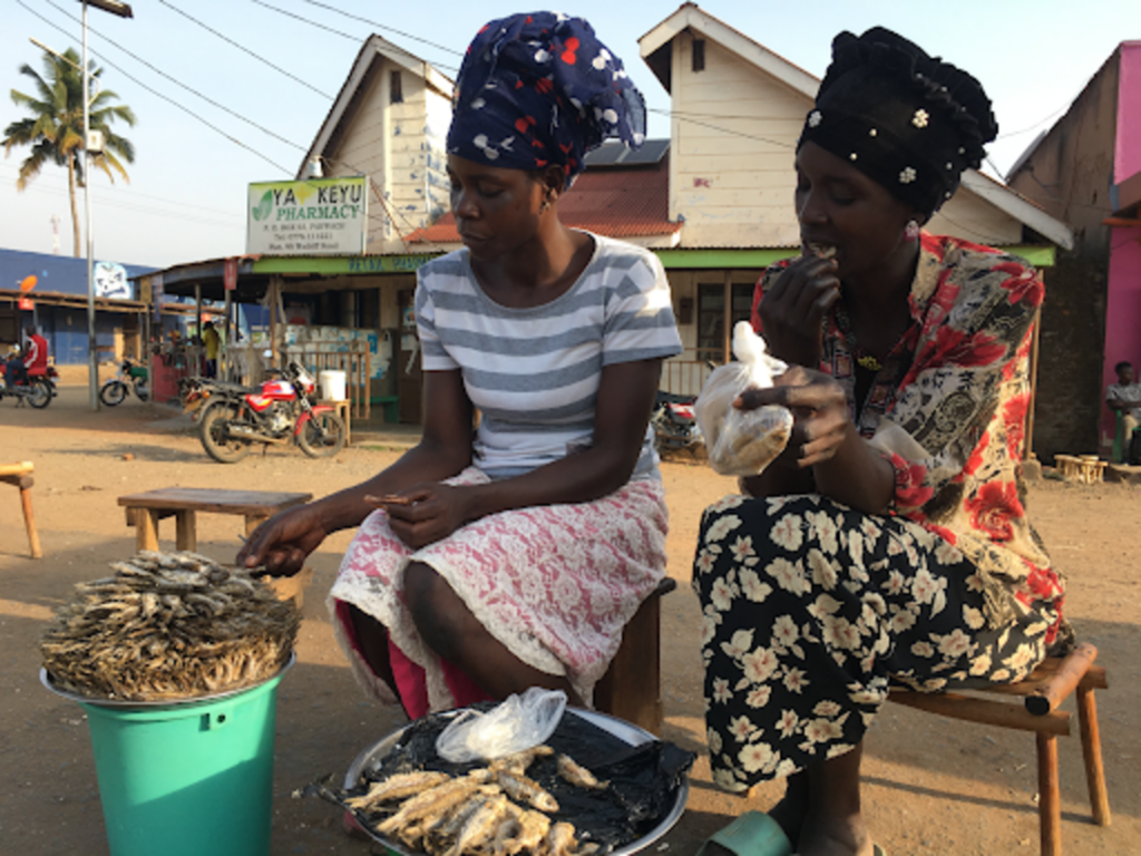 Women selling small, deep fried fish.